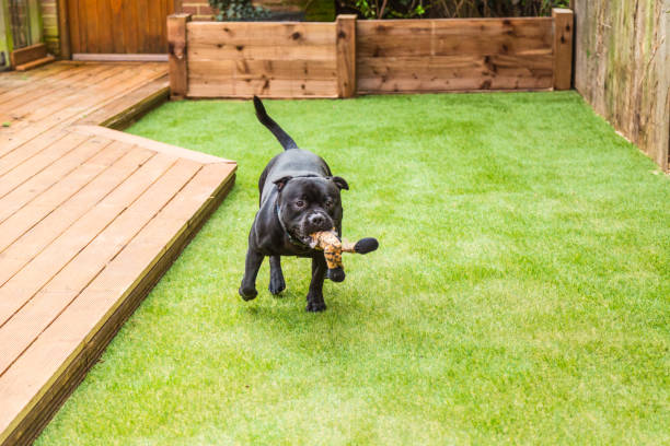 Benefits Of Using DIY Fake Grass In The Office